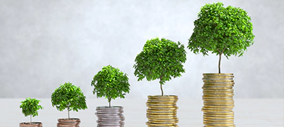 Wealth Building